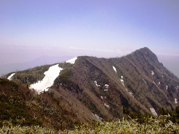 DSC00208