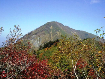 DSC00222