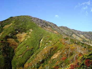 DSC00223