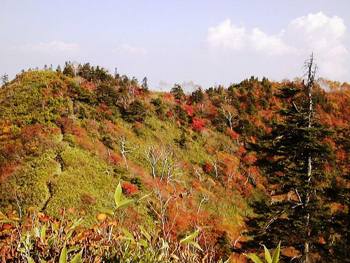 DSC00225