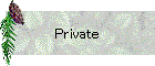 Private